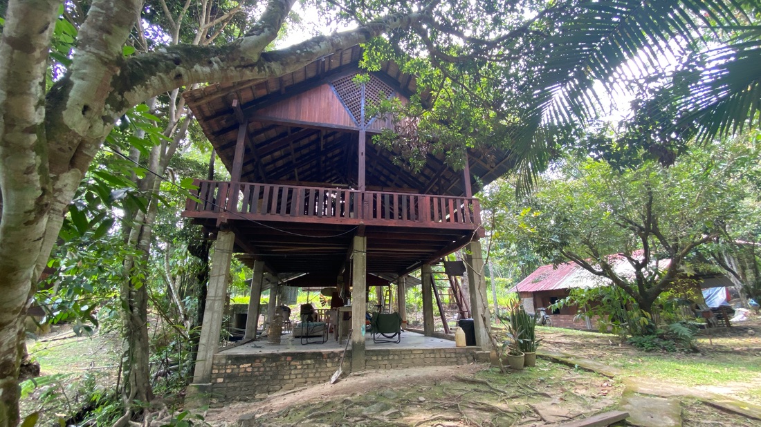Jungle Zen Campsite photo 2