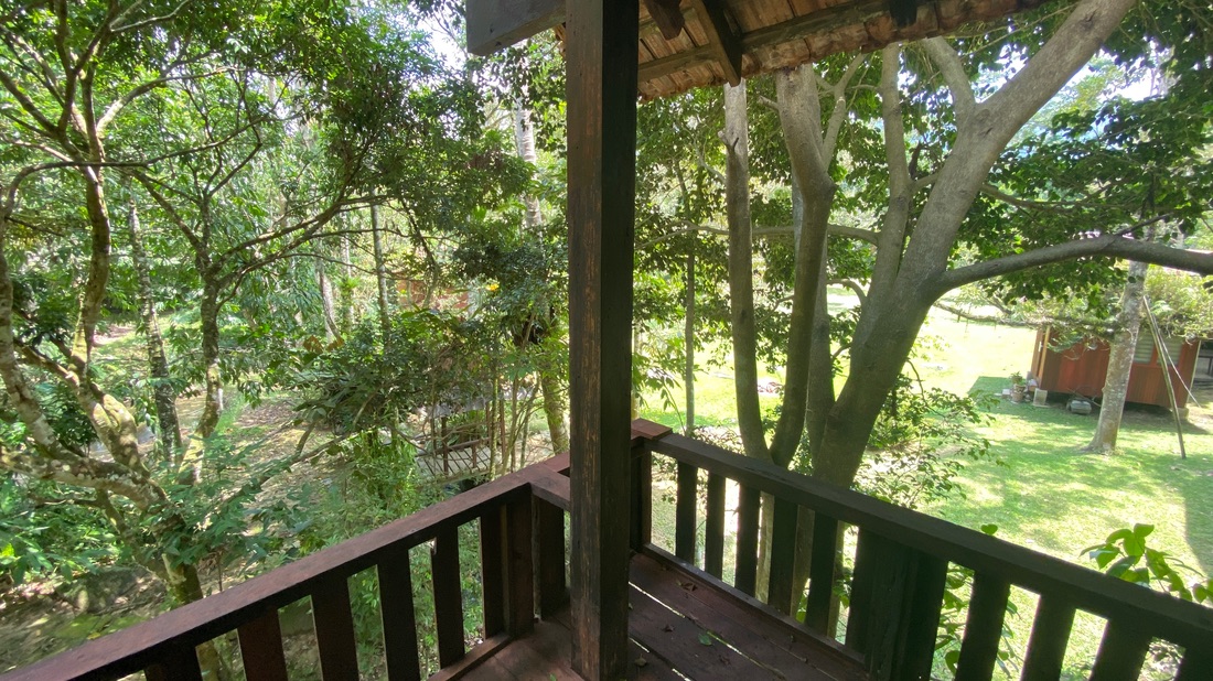 Jungle Zen Campsite photo 3