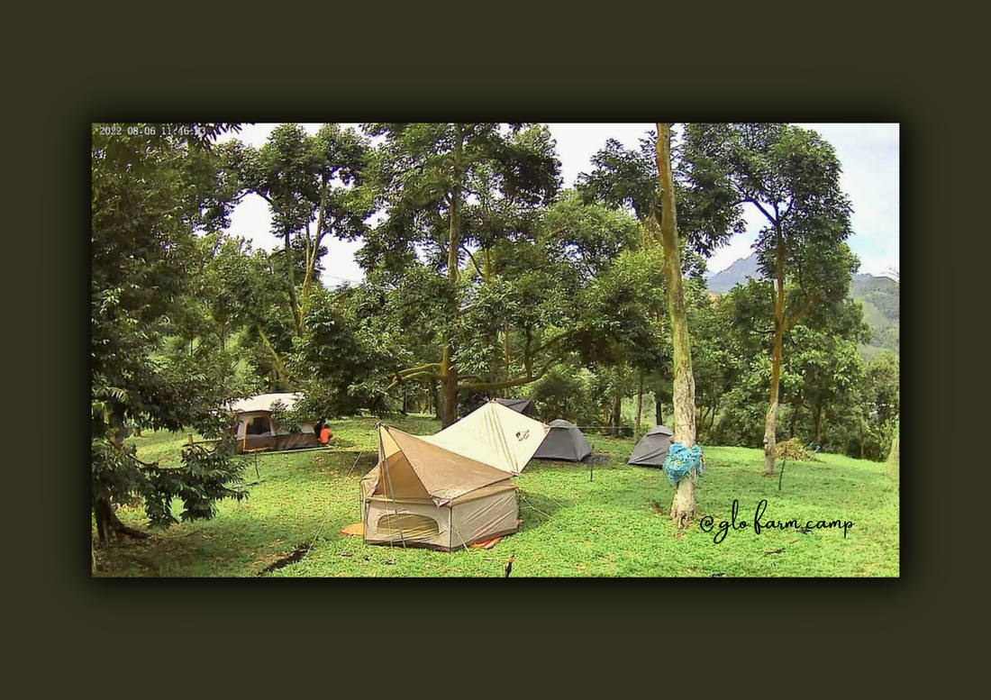 GLO Durian Farm & Camp - Photo 3