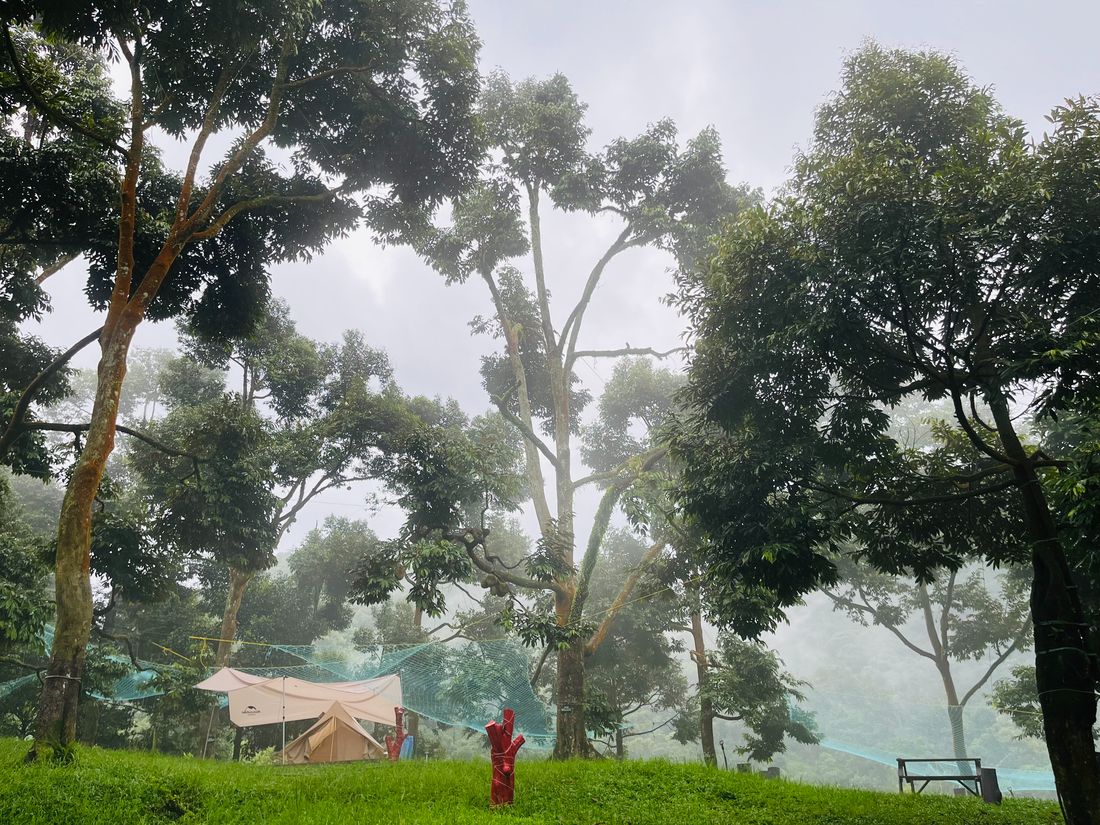 GLO Durian Farm & Camp - Photo 2